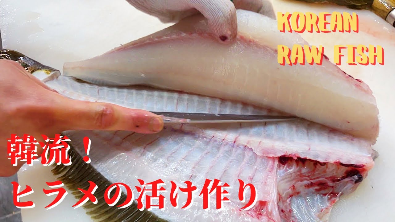 生きたヒラメが目の前で刺身に 韓国は刺身も美味しい 韓流 新鮮刺身の楽しみ方 Youtube 生きたヒラメが目の前で刺身に 韓国は刺身も美味しい 韓流 新鮮刺身の楽しみ方 Youtube