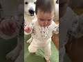 お姉さん風を吹かせ姪っ子ストーカーになる超大型犬 #shorts
