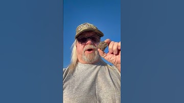 Gold Monster 2000 Eerste gedachten #shorts