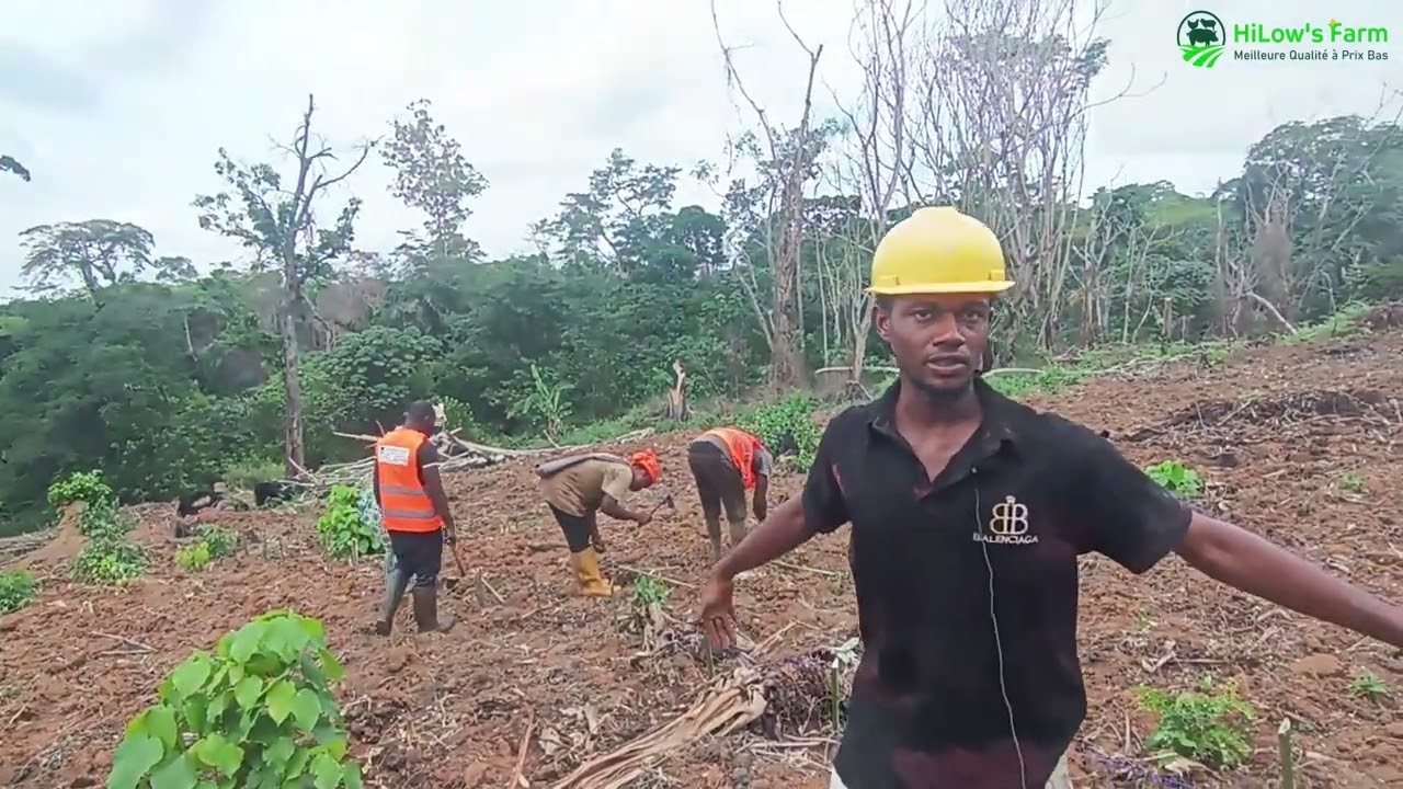 [TUTO] Comment Semer le Maïs?