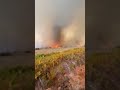 En Gironde Les Pompiers De La Marne Ont Filmé Cette Tornade De Feu Au Cœur Du Brasier 