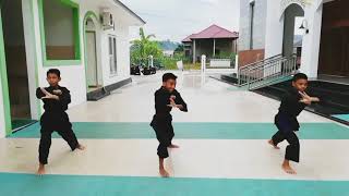 Pencak Silat Naga Pertapa Indonesia screenshot 3