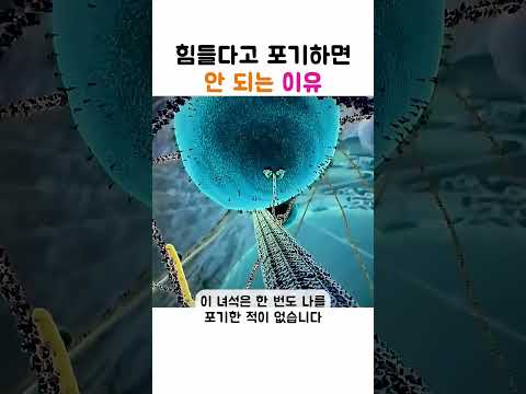 힘들다고 포기하면 안 되는 이유 thumbnail