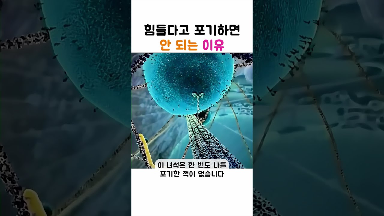 힘들다고 포기하면 안 되는 이유