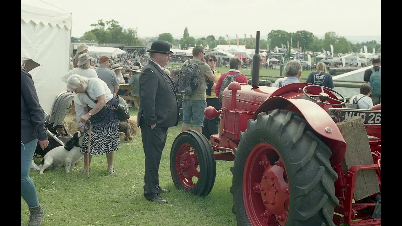 Lomography 800 - One Roll in One Year