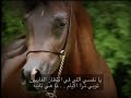 تصميم خيل ذكرتني خلي المملوح