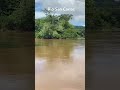 Rio San Carlos Costa Rica