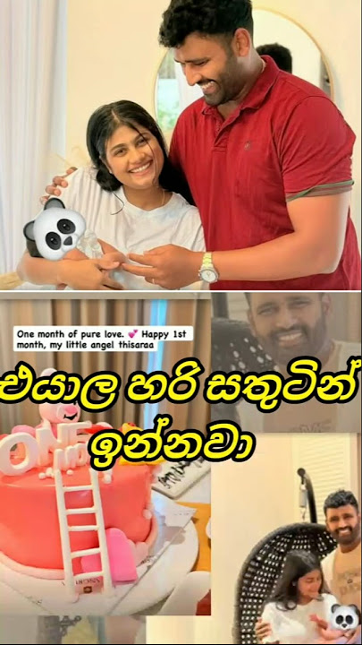 එයාලා හරි සතුටින් ඉන්නවා #music #song #bollywood