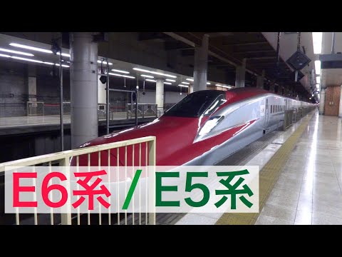 E6系＋E5系【秋田・新青森】東北新幹線上野駅でこまち35号秋田行き、はやぶさ35号新青森行きを撮影