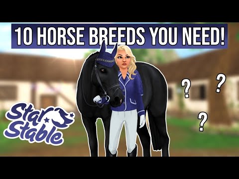 10 Horse Breeds you need in Star Stable!