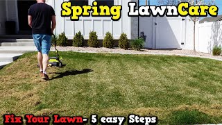 dIAGNOSING A LAWN in spring time