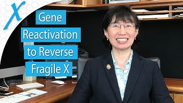 Can Medications Reactivate the FMR1 Gene to Reverse Fragile X?