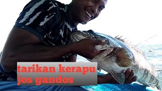 mabok laut begitu lihat ikan merah langsung sembuh langsung streak