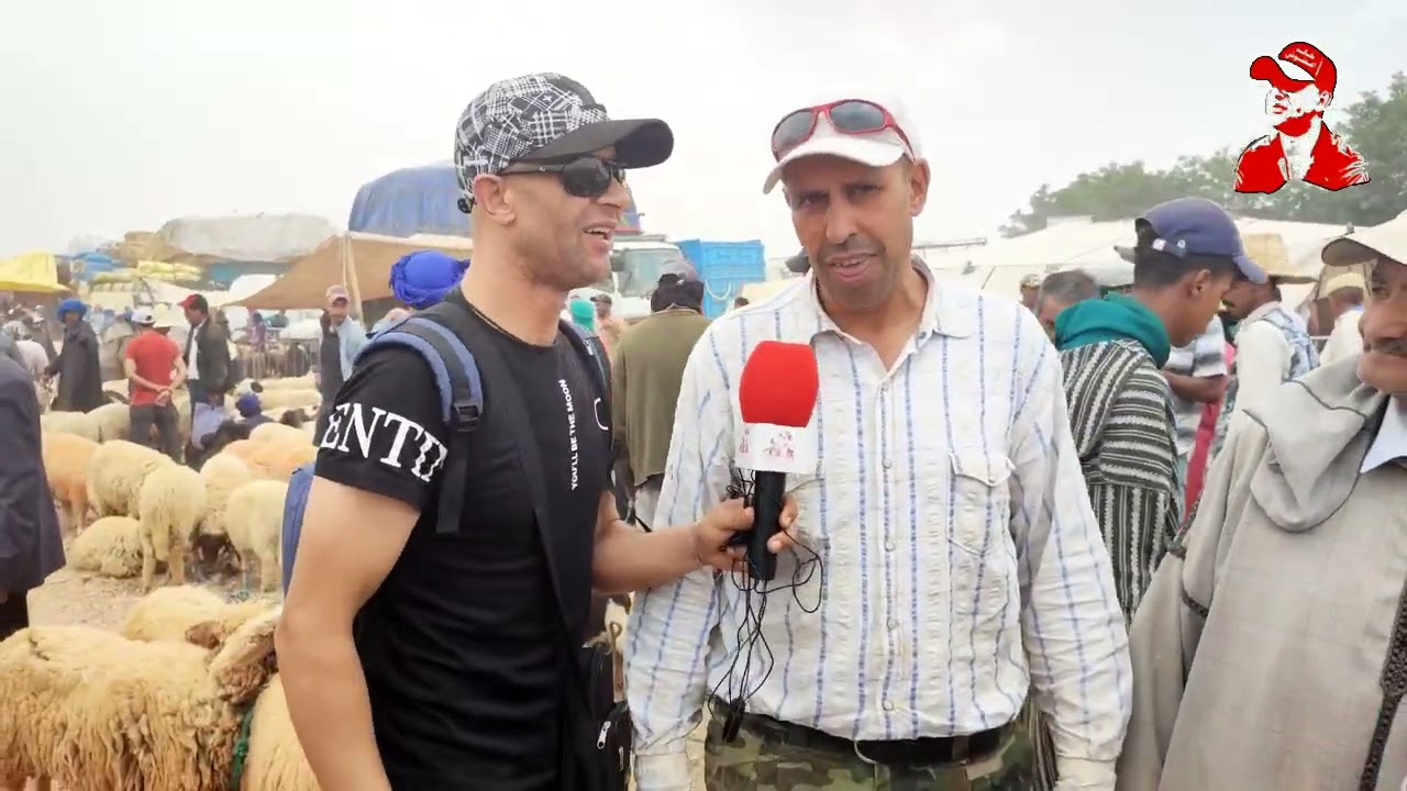 سوق المواشي ميدلت🤲