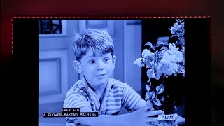 ANDY GRIFFITH - OPIE TELLS HOW THE MORRISON SISTERS HAVE A FLOWER MAKING MACHINE