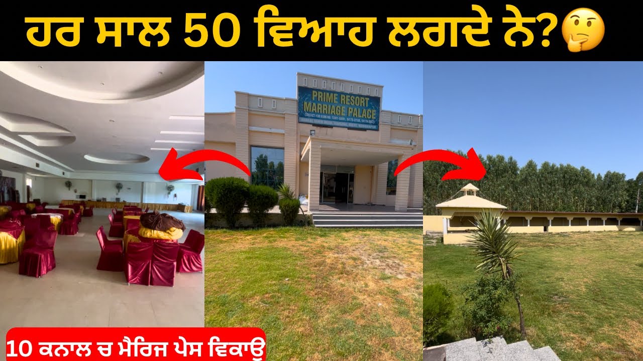 ⁣10.5 ਕਨਾਲ ਚ marriage palace ਵਿਕਾਉ 🤩 marriage resort for sale in Punjab OWNER 9888205222 video: 279