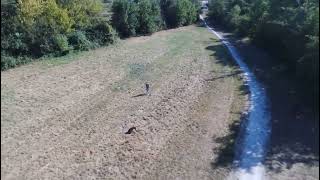 ISKO - 30 millions d’amis - Une seconde chance