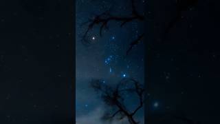 Les trois mages, les étoiles de la ceinture d’Orion #univers #astronomie #espace #astro #nasa