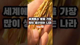 세계에서 쌀을 가장 많이 생산하는 나라 top10 #지식 #순위 #정보 #top10 #쌀 #쌀농사 #세계에서 #쌀생산국 #shorts