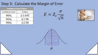 6.1 Confidence Intervals for the Mean LARGE SAMPLES