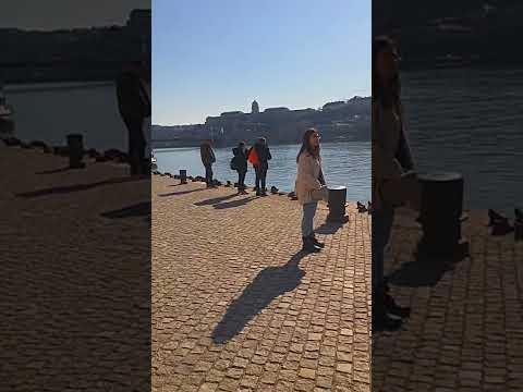 Video: Budapest, Ungarn - Donau-elvens dronningby