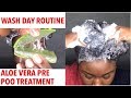 Wash Day for Dry Natural Hair (Start to Finish)| Aloe Vera Pre Poo Treatment