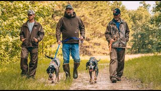 NITE LITE XL EXTREME LED II screenshot 5