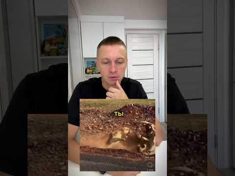 Тогда я Лев 🦁 #comedy #funny #ржака #юмор #семья #смешноевидео #жиза #муж