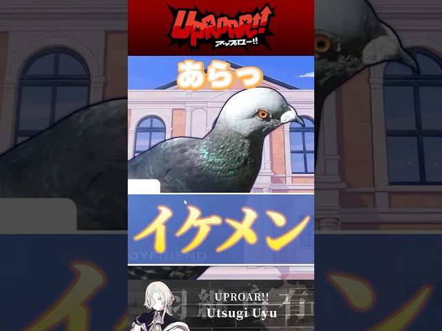 イケ鳩ばかりのゲームを鳩がプレイしてみた結果 #shorts  #vtuberのサムネイル