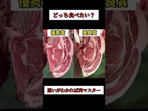 【どっち食べたい派？】神戸ビーフ優秀賞と優良賞の違いに気付ける？【焼肉】#shorts #焼肉#六本木