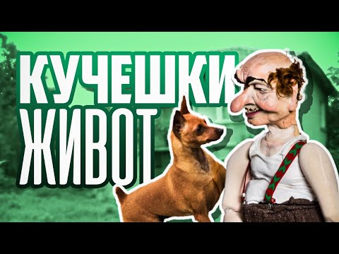 Видео: Кучешки живот на петербургската богема - Алтернативен изглед