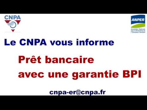 Le prêt garanti BPI en 7 minutes