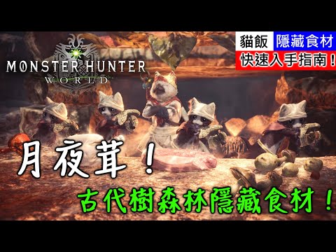 Mhw 古代樹森林隱藏食材 月夜茸 快速入手指南 魔物獵人世界 Youtube