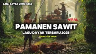 Pamanen Sawit | Lagu Dayak Terbaru 2025 | Viral Tiktok Versi India