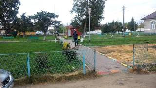 Chirica De Borcea Da Cu Spatele