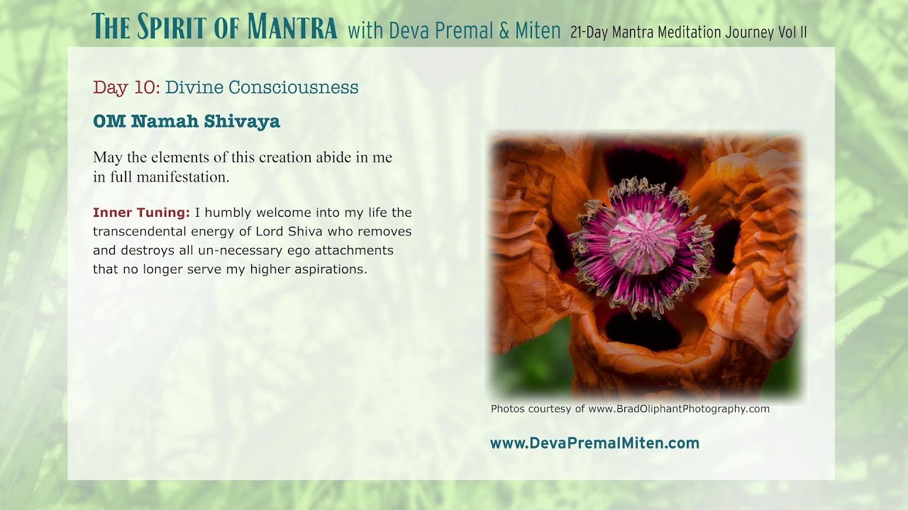 The Spirit of Mantra: 21-Day Mantra Meditation Journey Vol. II 