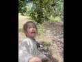 杨梅老板说明天不用来了,是嫌弃我太能吃了吗?