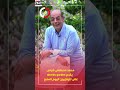 محمد مصطفى شردى يقدم Sherdy Garden على تليفزيون اليوم السابع 