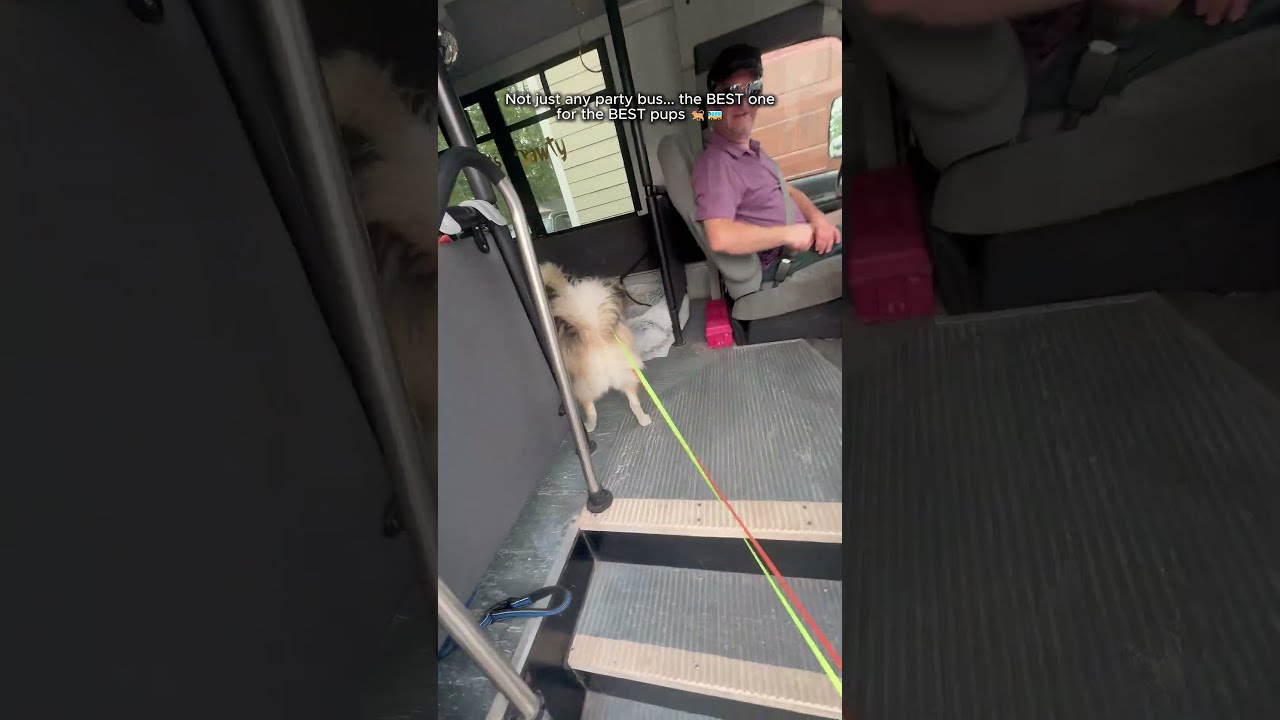 The Best Party Bus In Town
