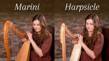 Comparing Two Lap Harps: Fullsicle Harp & Marini 28 Bass LAP Harp