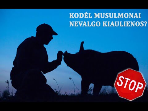 Video: Kodėl žydai nevalgo kiaulienos: istorija, tradicijos ir įdomūs faktai