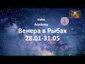 Транзит Венеры в рыбах (28.01-29.05)
