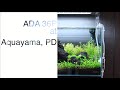 Fish tank review  essential style aquascape by aquayama 36p