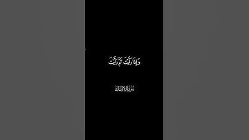 عيناً فيها تسمى سلسبيلا | كرومات شاشه سوداء #القارئ محمد اللحيدان