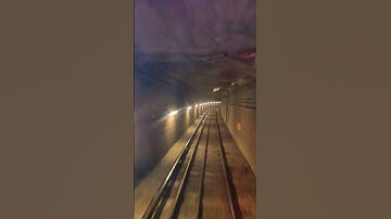 Train running back view 10.26.24