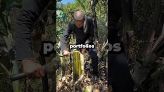 Poor people who have dated rich people, what did you learn?