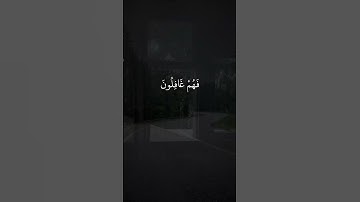 سورة يس - القارئ بلال دربالي