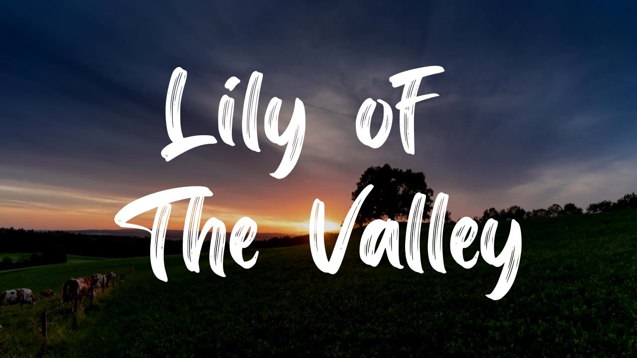 Lily Of The Valley Hymn [With Lyrics] YouTube