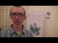 DELTA 9 vs. 11-HYDROXY-THC | Cascadia Herbals Breaks it Down | by Cannabis Frontier