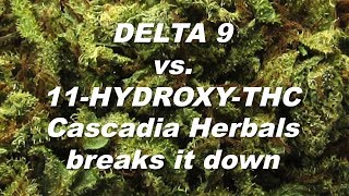 DELTA 9 vs. 11-HYDROXY-THC | Cascadia Herbals Breaks it Down | by Cannabis Frontier